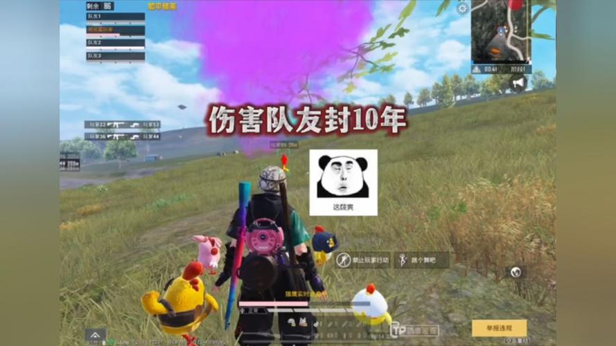 深入了解和平精英辅助现象：技术创新与社会影